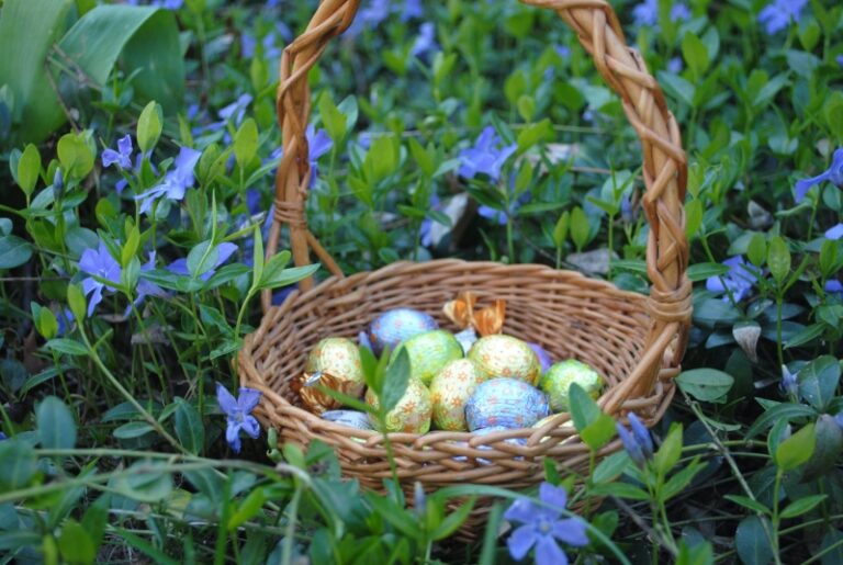 Lapins, oeufs et chocolats