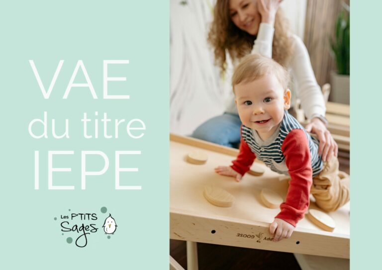 VAE titre pro IEPE, formation continue et initiale